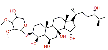 Tumidoside B